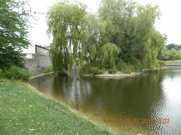 554910_4548427329298_524828119_n