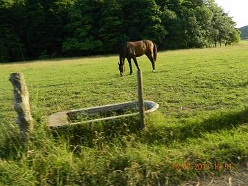 999091_4531252579940_2144332448_n