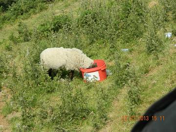 999994_4548504211220_1777285142_n